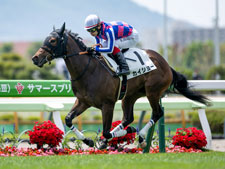 函館5R新馬戦を制したカイショー(撮影：山中博喜)