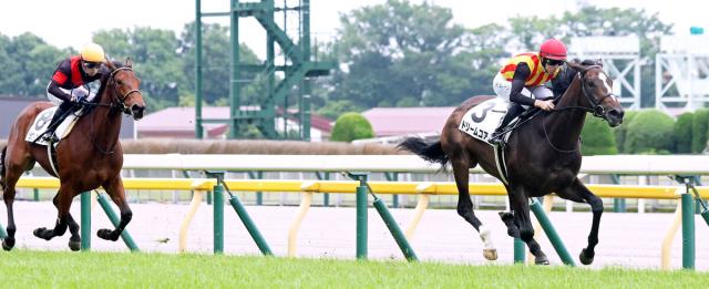 【東京5R・2歳新馬】G1馬を母に持つドリームコアが逃げ切りV　レーン騎手「ポテンシャルある」