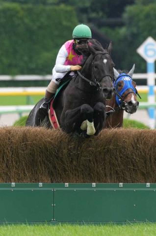 【東京4R・東京ジャンプS】ジューンベロシティが3連覇達成　高田「しっかり力を出し切ってくれた」