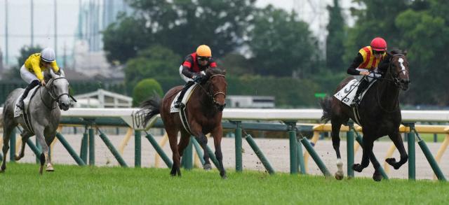 【東京5R・新馬戦】1番人気・ドリームコア圧勝　レーン「ポテンシャルは高い。次の競馬も楽しみ」