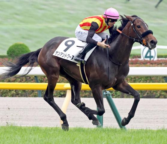 【東京6R・2歳新馬】1番人気サンアントワーヌ4馬身差V　レーン騎手は新馬戦の騎乗機会4連勝「乗りやすい」