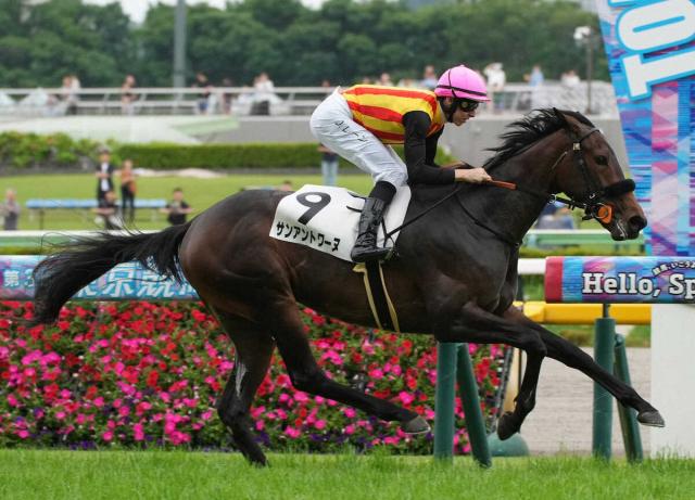 【東京6R・新馬戦】サンアントワーヌがデビューV　絶好調のレーン「リズム良く好位から競馬ができた」