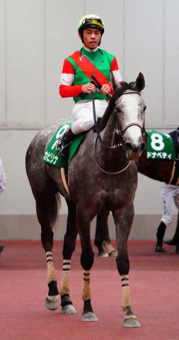 【函館スプリントS】カピリナ　鼻差逆転で重賞初制覇　コースレコード決着　3連単は10万円超の波乱