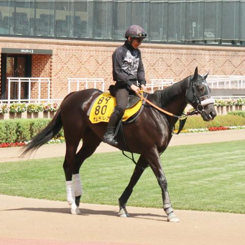 【函館スプリントS】単勝1・7倍の1番人気がまさか…　ナムラクレアは出遅れて追い込み不発で着外
