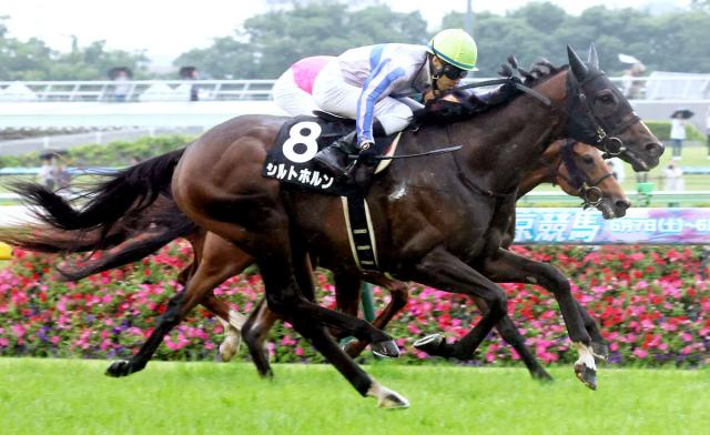 【東京11R・ジューンステークス】シルトホルンが約2年ぶりとなる3勝目　大野拓弥騎手「絶好調とは言えない中で…」