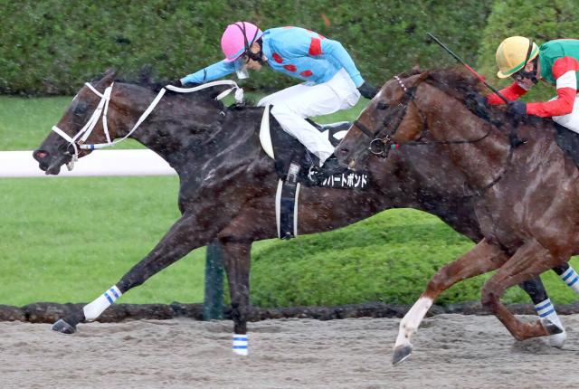 「これは本物や」「交流重賞でも勝ち負け」無傷5連勝でOP制覇の牝馬にネット衝撃…馬名はダブルハートボンド