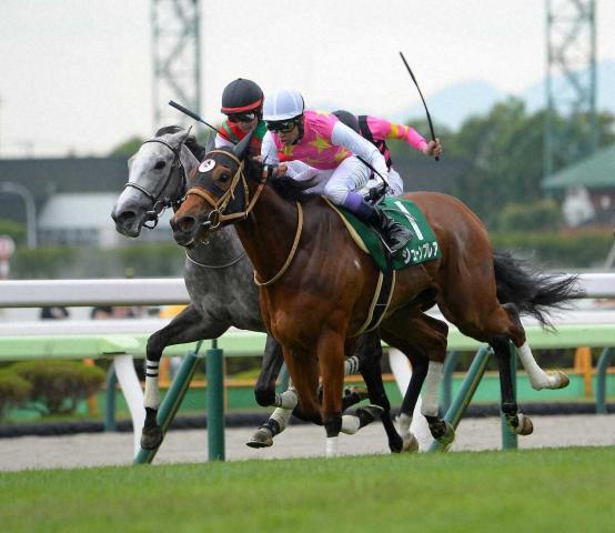 【函館スプリントS】ジューンブレア　鼻差及ばず2着　武豊「惜しかった。いいレースをしてくれたけど…」