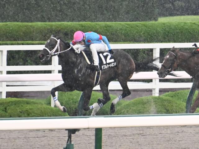 【三宮S結果】ダブルハートボンドが断然人気に応え無傷の5連勝！