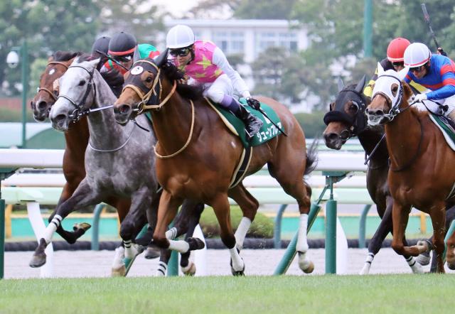 【函館スプリントS】武豊騎手「惜しかったね」ジューンブレア鼻差2着も評価「重賞でもやれる」