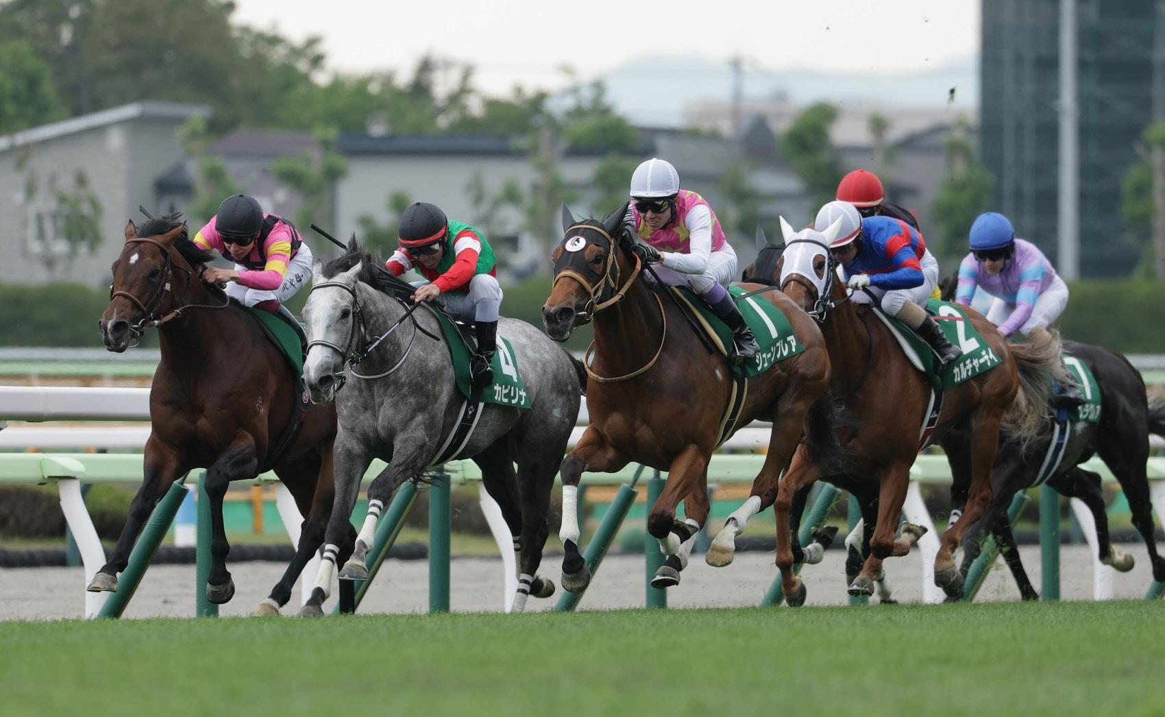 【函館スプリントＳ】２番人気のカピリナがコースレコードで重賞初制覇　戸崎圭「ベリーベリーホース」