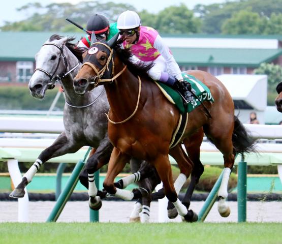 【函館スプリントS】カピリナがコースレコードで重賞初制覇　戸崎圭太騎手「ベリーベリーホースです」
