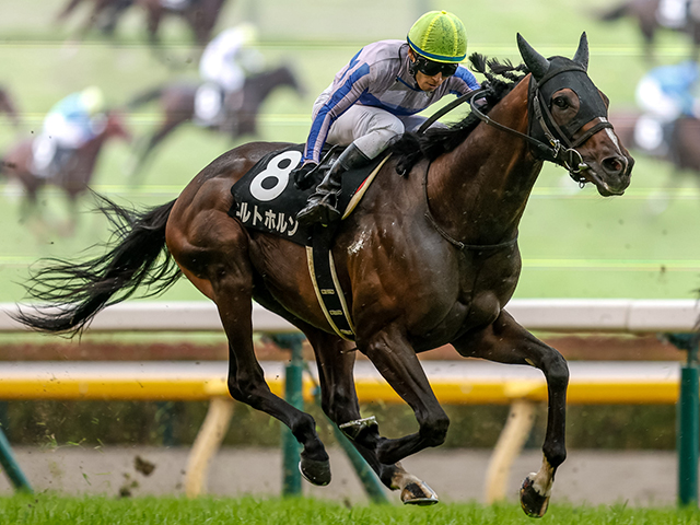 【ジューンS結果】シルトホルンが追い比べを制し2年ぶりのV