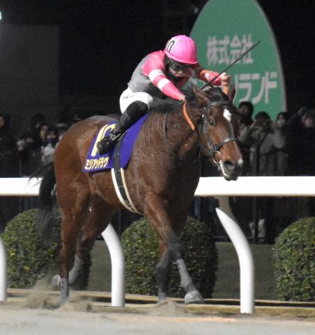 【函館スプリントS】競走中止の3歳牝馬ミリアッドラヴは急性心不全…息を引き取る　JRA発表