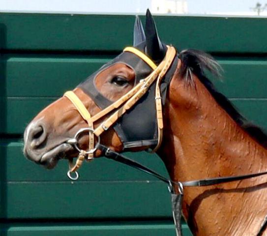 昨年の全日本2歳優駿覇者ミリアッドラヴが死ぬ　函館スプリントSレース中に急性心不全を発症