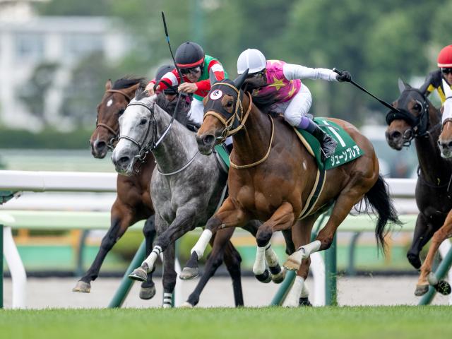 【函館SS結果】カピリナが接戦を制す！ コースレコードで重賞初V