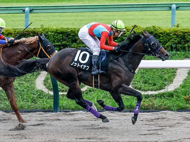 【日野特別レース後コメント】ノットイナフ石橋脩騎手ら