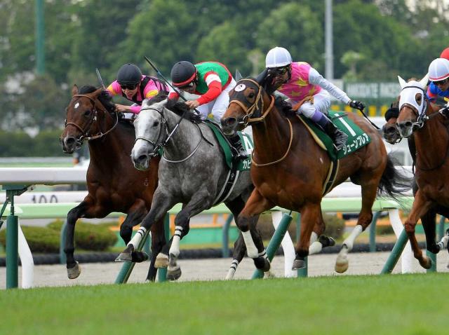 【函館スプリントS】3、4着争い…1センチ差　初芝で3着ドンアミティエ　丹内「洋芝以外でも大丈夫」