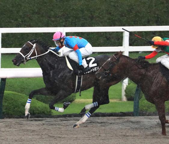 【三宮S】ダブルハートボンド　デビュー5連勝でオープン初勝利　坂井「勝ちきるのがこの馬の強さ」