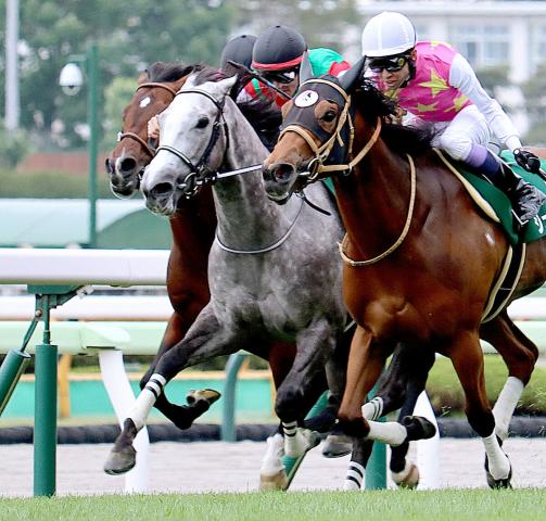 【函館スプリントS】3度目重賞挑戦カピリナが5センチ差制してレコードV　戸崎「ベリーベリーホースです(笑)」