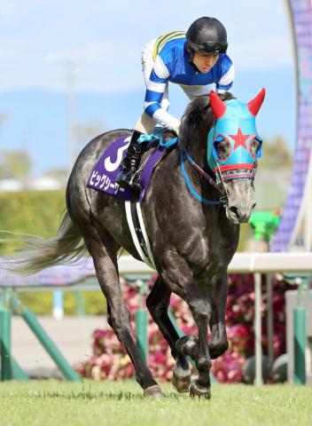 【注目馬動向】函館スプリントSを回避したビッグシーザーの骨折が判明　全治6か月以上の休養が必要に