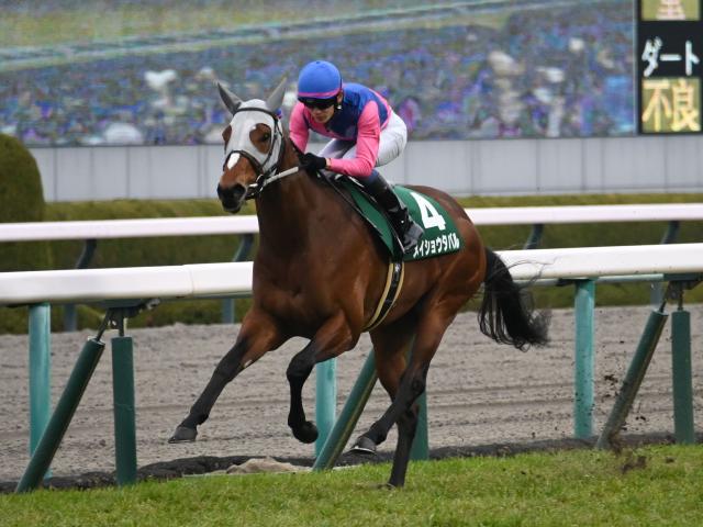 宝塚記念当日の阪神芝は道悪 メイショウタバルの逃げ切りあるぞ