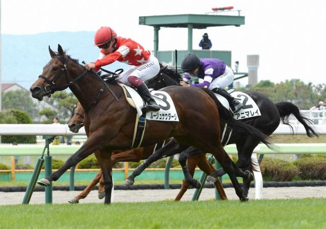 【函館5R・新馬戦】ルージュサウダージが2歳レコードV　小沢「次につながるいい内容」