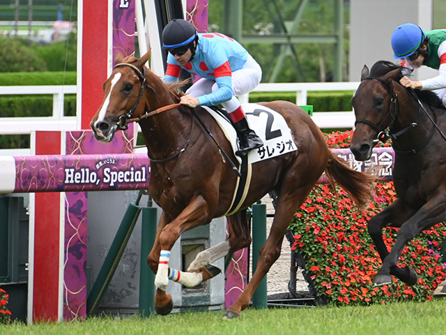 【阪神5R新馬戦結果】エピファネイア産駒サレジオが押し切り新馬勝ち
