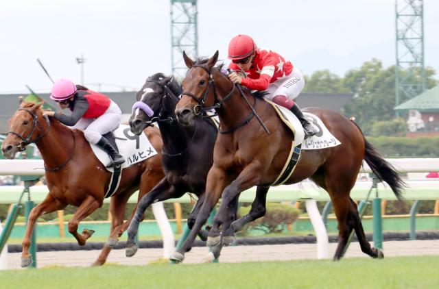【函館5R・2歳新馬】新種牡馬V一番乗り　ルージュサウダージがレコード勝ち　函館は開幕から早くも3回目
