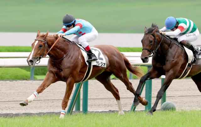 【阪神5R・2歳新馬】良血サレジオが断然人気に応え逃げ切りV　田中博調教師「無事に勝ち切れたことが良かった」