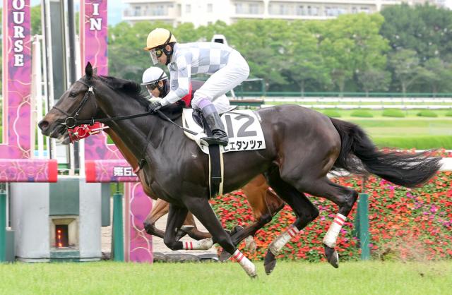宝塚記念が行われる阪神競馬場の芝は7Rから稍重　馬場回復が味方になるアーバンシックが狙い目