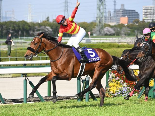 【宝塚記念・馬体重】ベラジオオペラは510kg(+2)、レガレイラは478kg(+10)