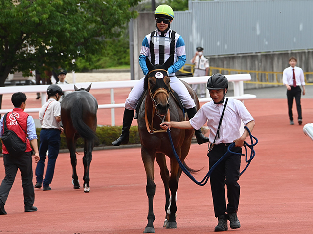 【逆瀬川特別レース後コメント】タクシンイメル高倉稜騎手ら