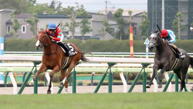 【函館11R・函館日刊スポーツ杯】ドゥアムールが逃走V　函館出身の丹内祐次騎手と初コンビ