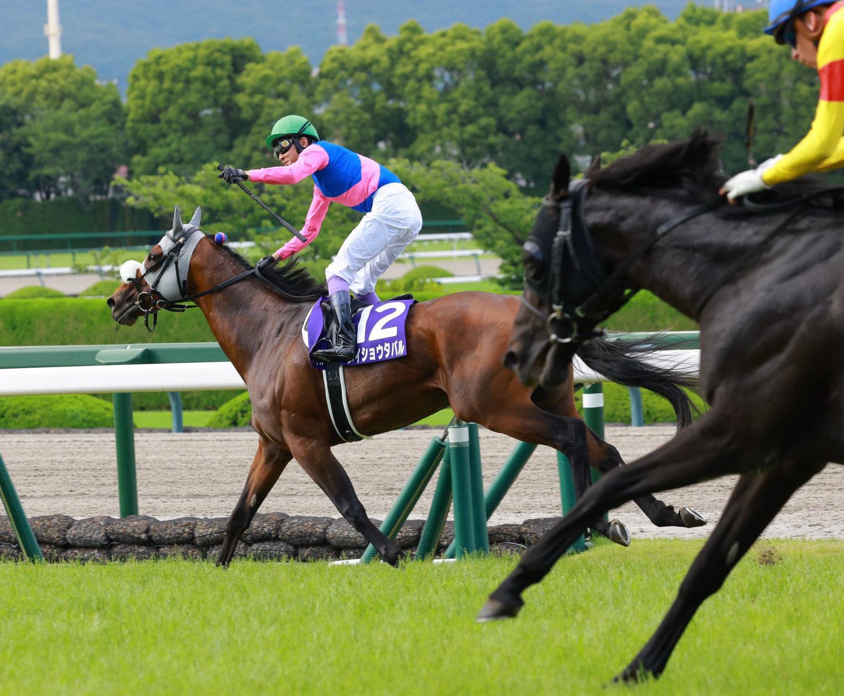 【宝塚記念】武豊が決めた！７番人気のメイショウタバルで逃げ切り勝利「うれし過ぎますね」
