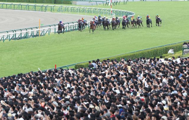 【宝塚記念】アーバンシック14着に沈む　ルメール「ギア上がらず…馬場のせいかな。よく分からない」