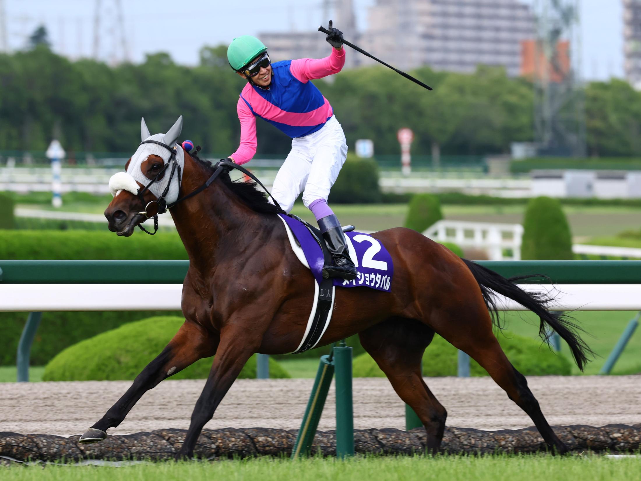 【宝塚記念】武豊が決めた！７番人気のメイショウタバルで逃げ切り勝利「うれし過ぎますね」