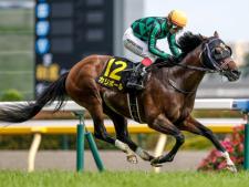 パラダイスSを制したカリボール(撮影：下野雄規)