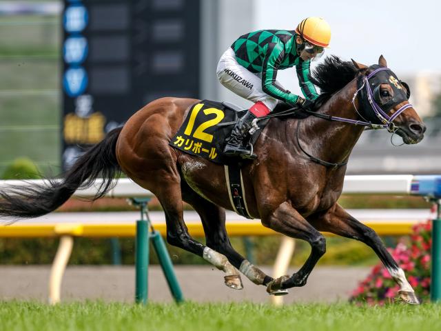 【パラダイスS結果】単勝オッズ207.2倍、シンガリ人気の9歳馬カリボールが快勝