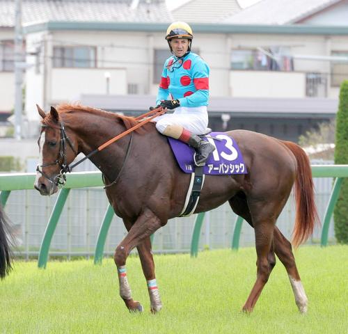 【宝塚記念】アーバンシックは後方のまま力尽き14着　ルメール騎手困惑「どうしてか分からない」