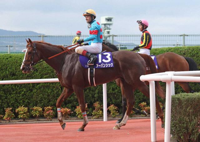 【宝塚記念】アーバンシック14着に沈む　ルメール「ギア上がらず…馬場のせいかな。よく分からない」
