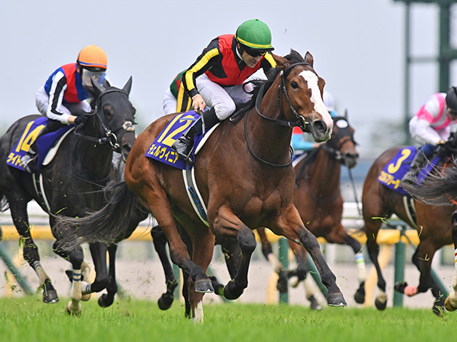 新設重賞・しらさぎSと府中牝馬S/今週の競馬界の見どころ