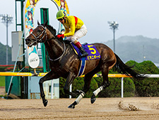 佐賀王冠賞を制したビキニボーイ(写真提供：岩手県競馬組合)