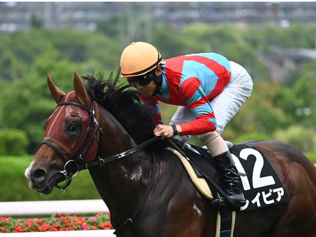 【武庫川特別レース後コメント】レイピア北村友一騎手ら