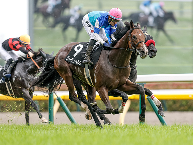 【芦ノ湖特別レース後コメント】グーテンベルク M.デムーロ騎手ら