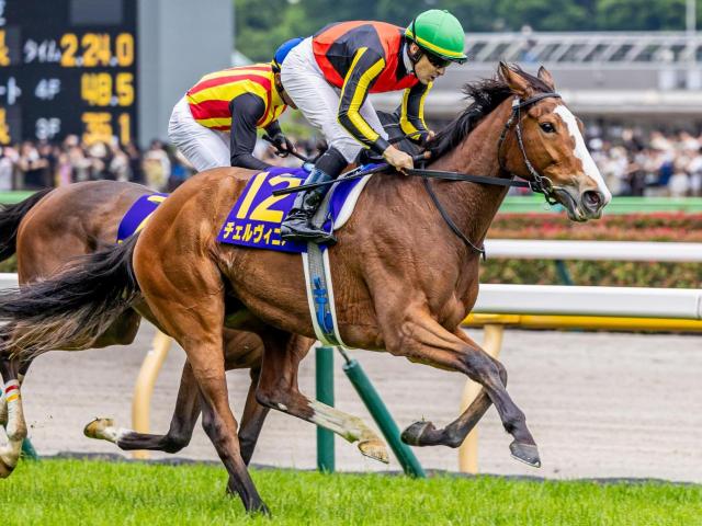 【しらさぎS】オークス馬がGIII制覇なら20年ぶり！ チェルヴィニアが復活Vなるか