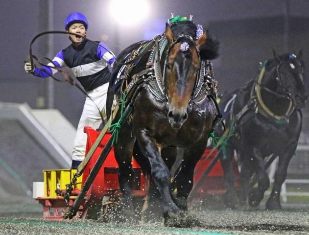 【ばんえい競馬　北斗賞】コマサンエースが重賞2勝目　金田「先行することを意識していた」