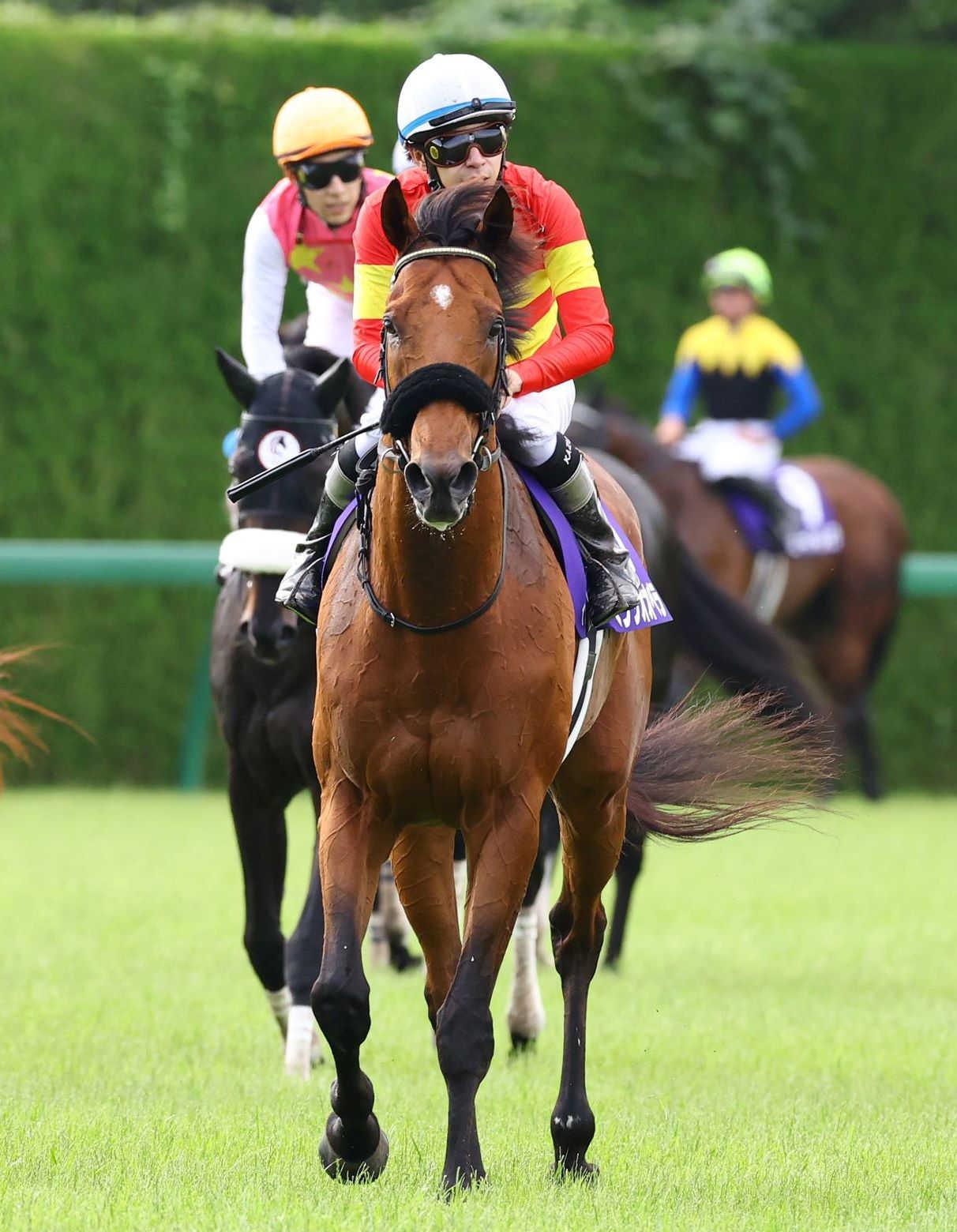 【宝塚記念】ベラジオオペラ　蒸し暑さ影響し２着　横山和「悔しいね。夏負けの兆候があったのかも」秋の大舞台でリベンジへ