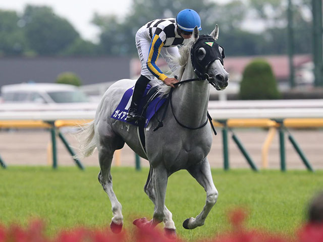 GI/JpnIに4度騎乗してすべて5着以内 下半期も注目の吉村誠之助騎手