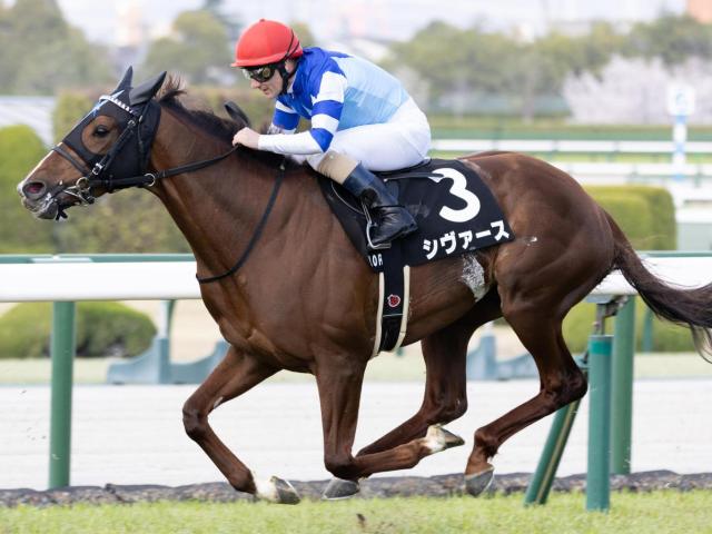 【しらさぎS】「大魔神」佐々木主浩オーナーのシヴァース 重賞初制覇なるか