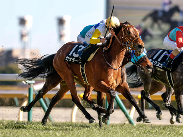 【府中牝馬S見どころ】大器晩成カナテープが連勝で重賞初制覇だ